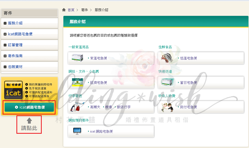 黑貓1 1